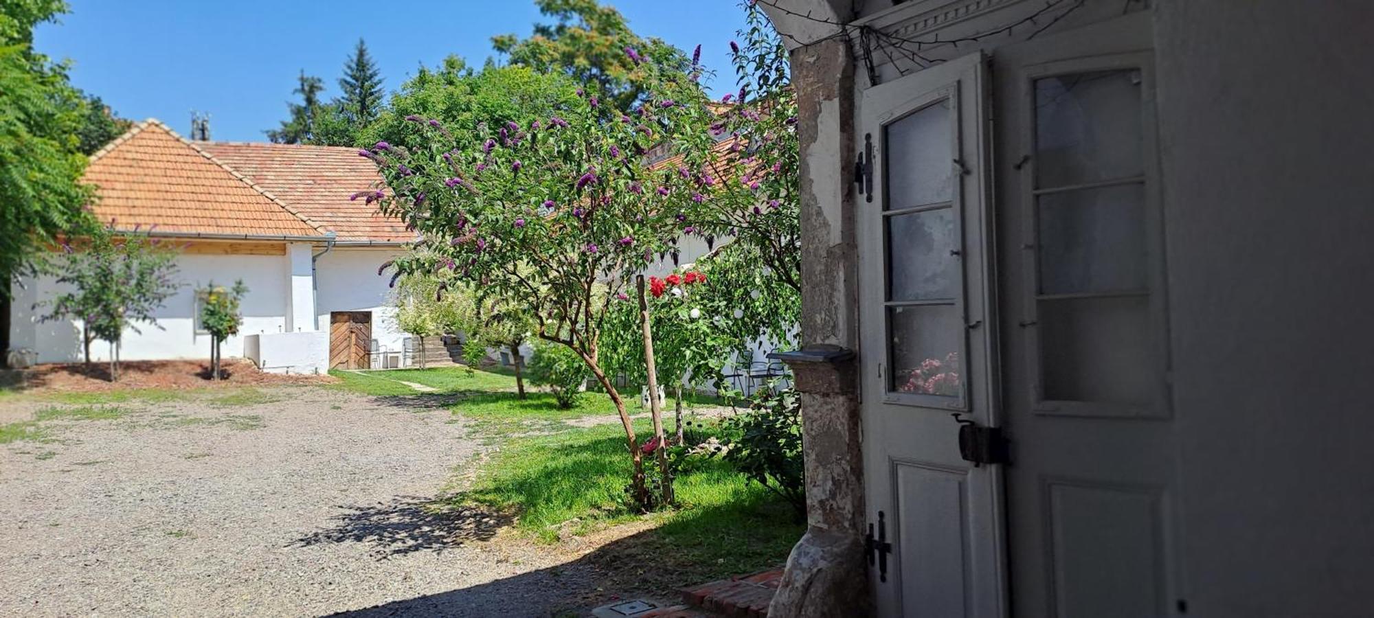 Plitzner Belvárosi Apartmanház Eger Exterior foto